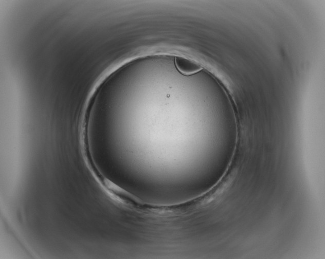 X0000115261525200911061229