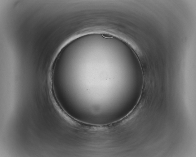 X0000115261526200911061229