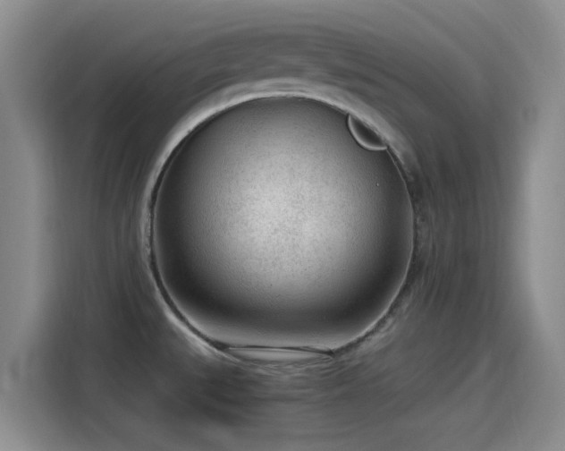 X0000115261527200911061229