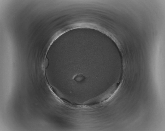 X0000115261529200911061229