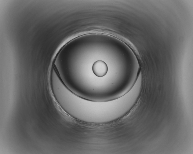 X0000115261530200911061229