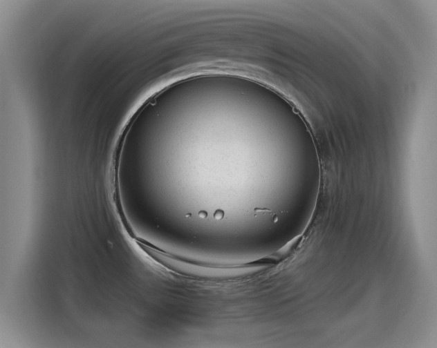 X0000115261531200911061229