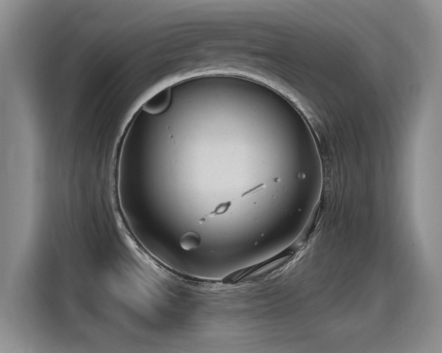 X0000115261534200911061229
