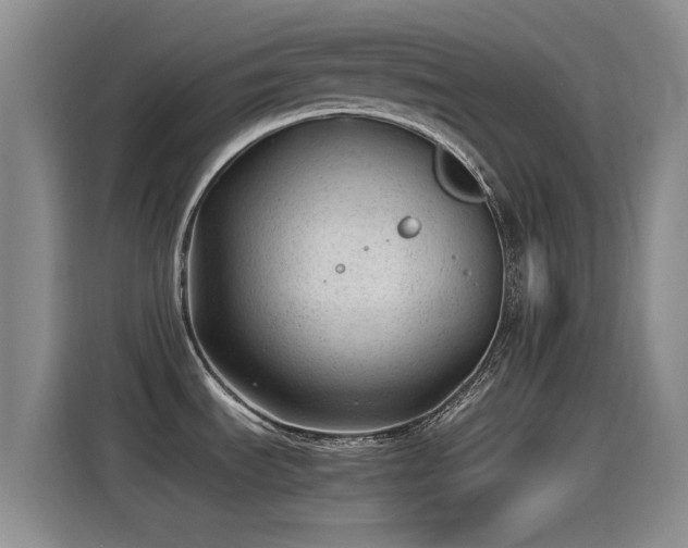 X0000115261535200911061229