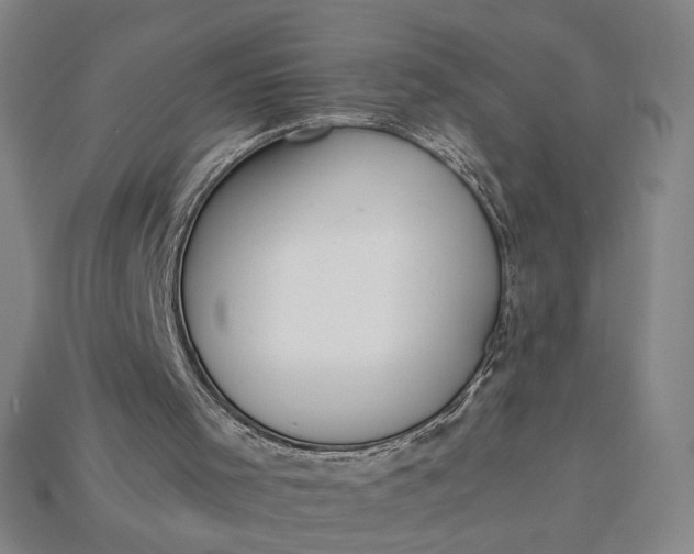 X0000115260001200911131756