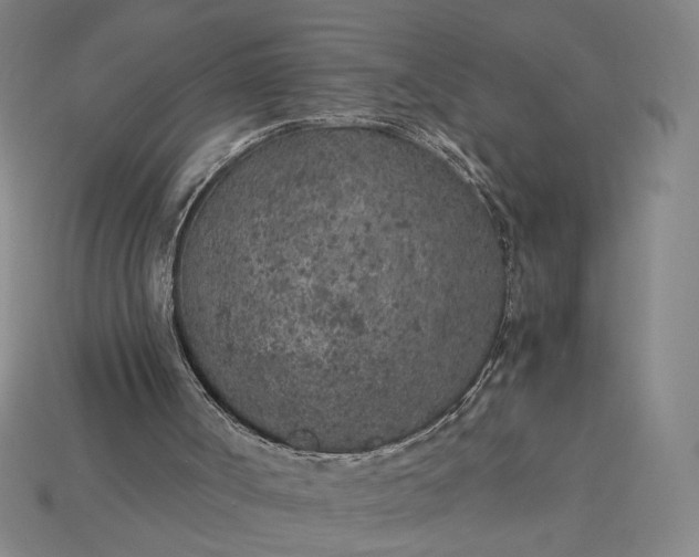 X0000115260002200911131756
