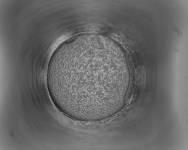 X0000115260003200911131756