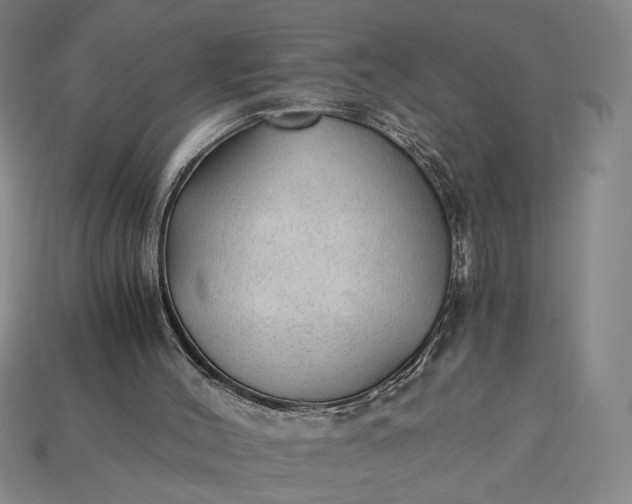 X0000115260004200911131756