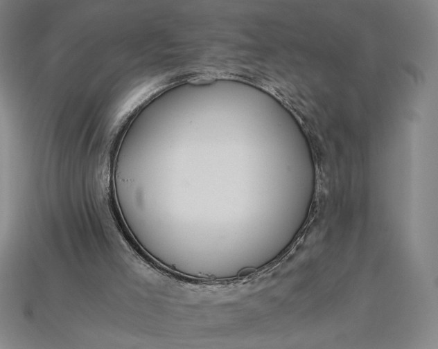 X0000115260005200911131756