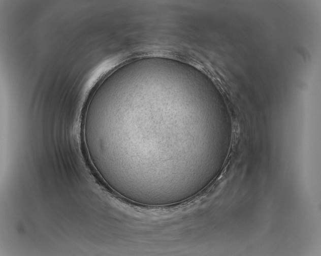 X0000115260006200911131756