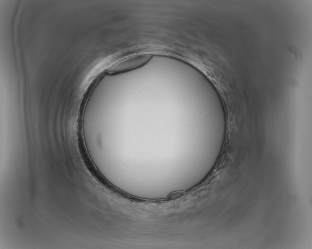 X0000115260007200911131756