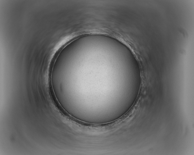 X0000115260008200911131756