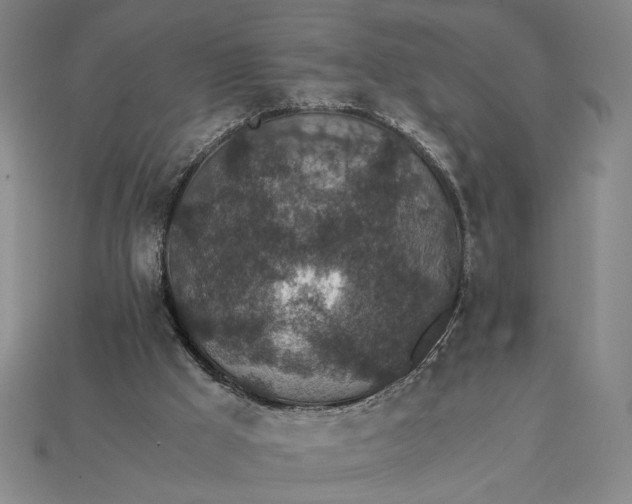 X0000115260009200911131756