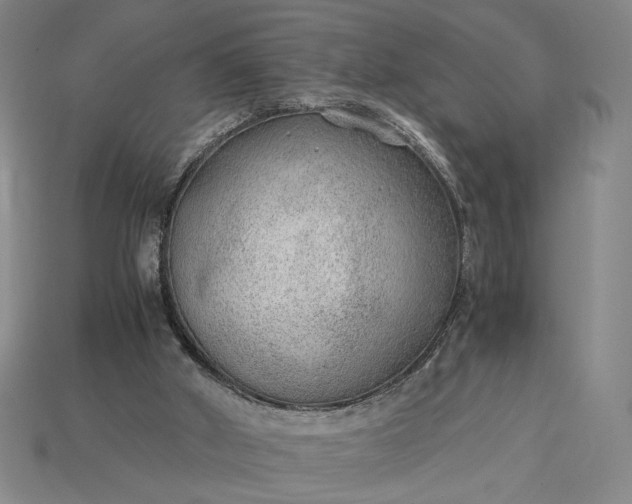 X0000115260010200911131756