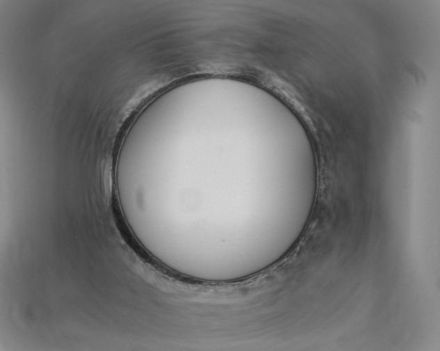X0000115260011200911131756