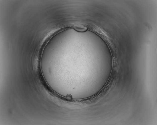 X0000115260012200911131756