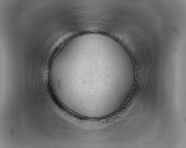 X0000115260016200911131756