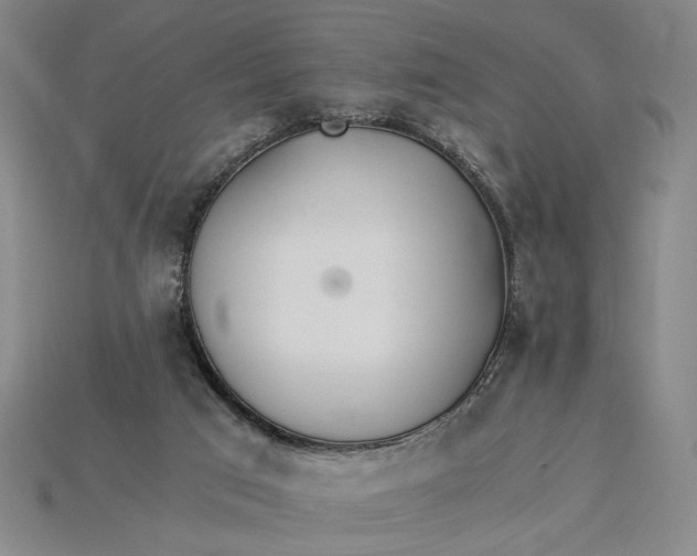 X0000115260017200911131756