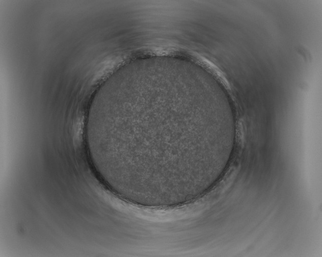 X0000115260018200911131756