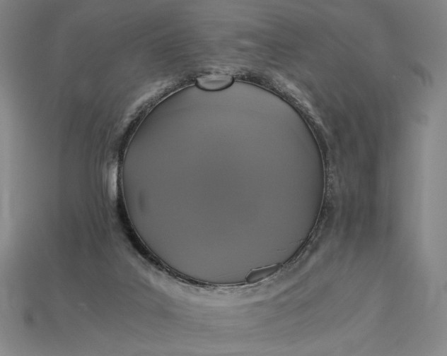 X0000115260019200911131756