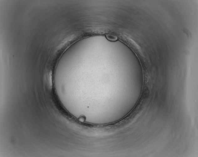 X0000115260020200911131756