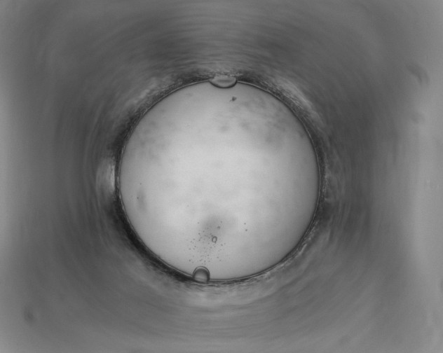 X0000115260021200911131756