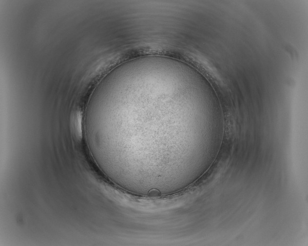 X0000115260022200911131756