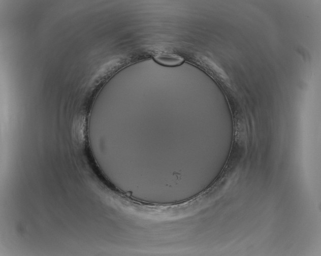 X0000115260023200911131756