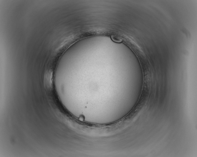 X0000115260024200911131756