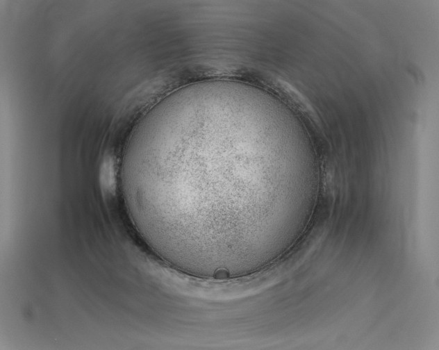 X0000115260026200911131756