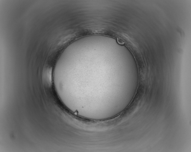 X0000115260028200911131756