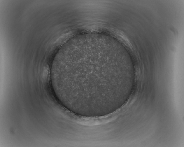 X0000115260029200911131756