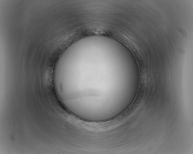 X0000115260030200911131756