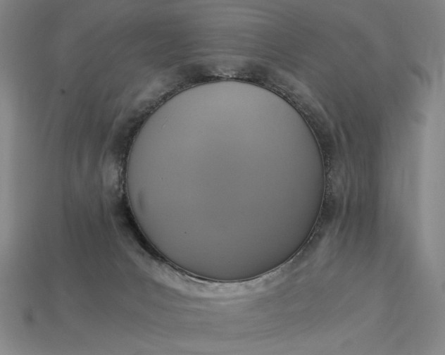 X0000115260031200911131756