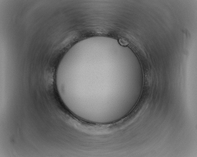 X0000115260032200911131756