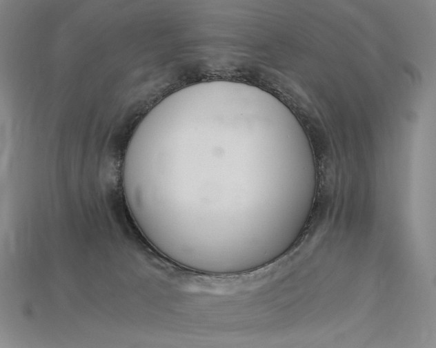 X0000115260033200911131756