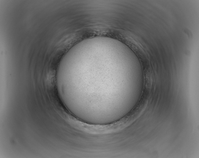 X0000115260034200911131756