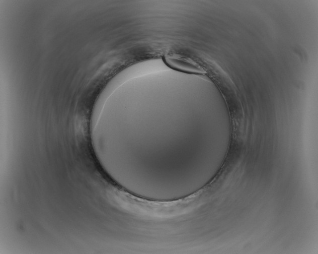 X0000115260035200911131756