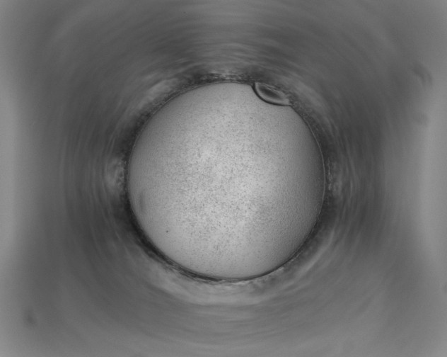 X0000115260036200911131756