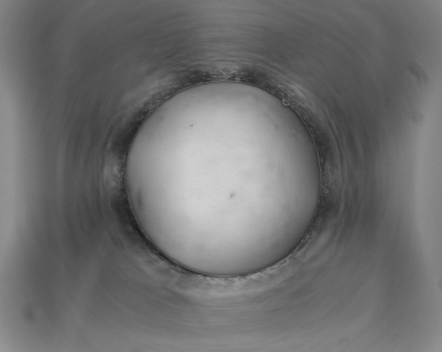 X0000115260037200911131756