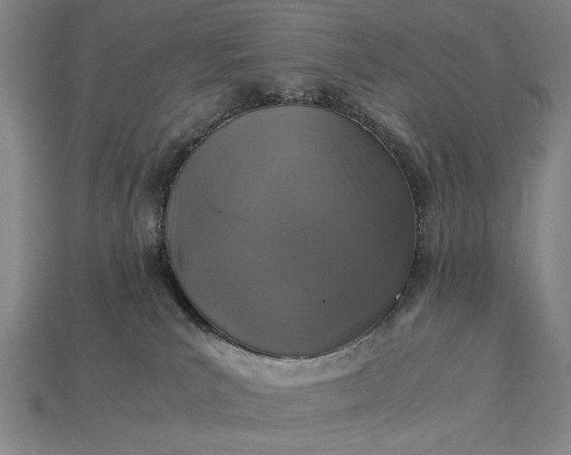 X0000115260039200911131756