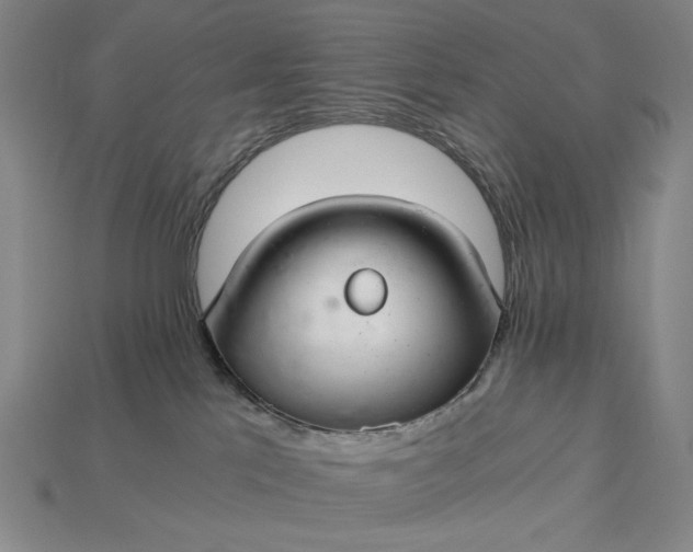 X0000115260041200911131756