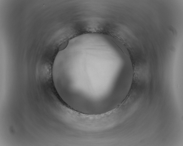 X0000115260043200911131756