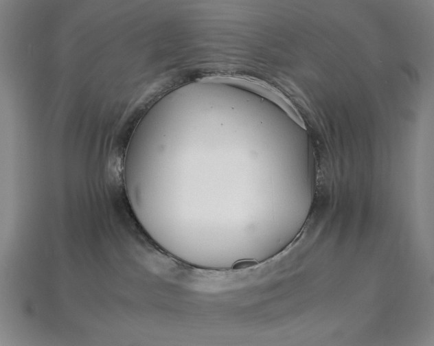 X0000115260045200911131756