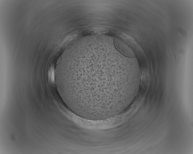 X0000115260046200911131756