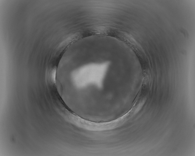 X0000115260047200911131756