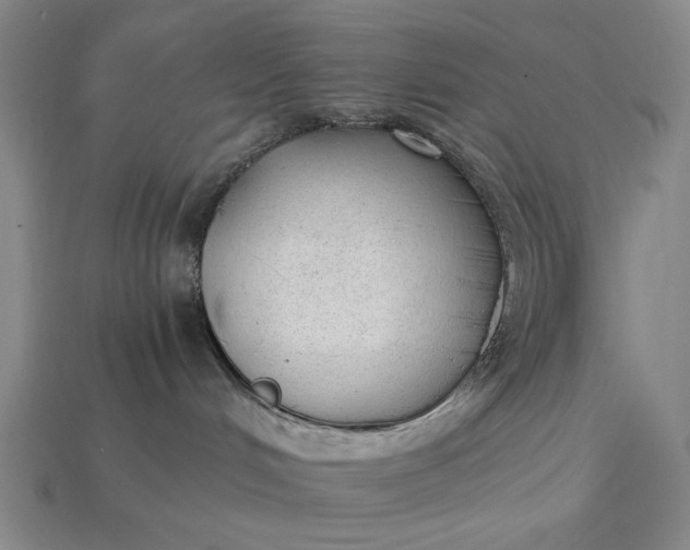 X0000115260048200911131756