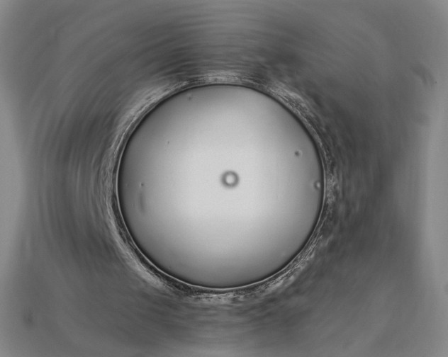 X0000115260049200911131755