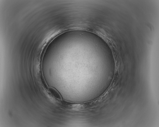 X0000115260050200911131755