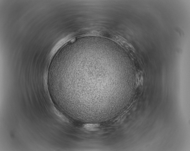 X0000115260051200911131755